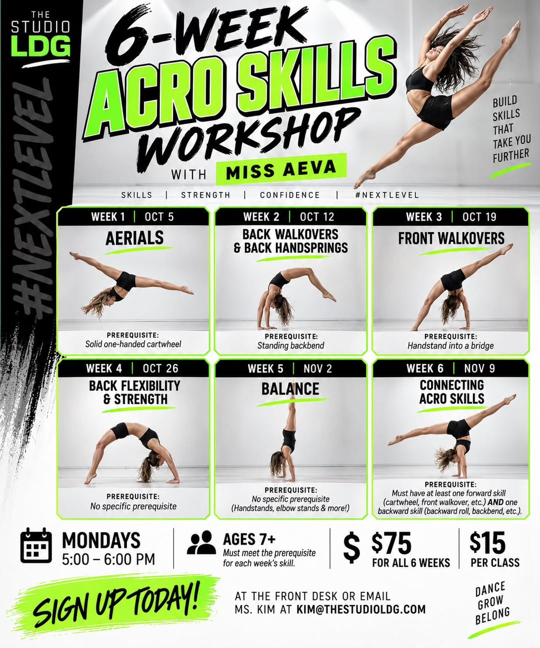 6-Week Acro Skills Workshop flyer